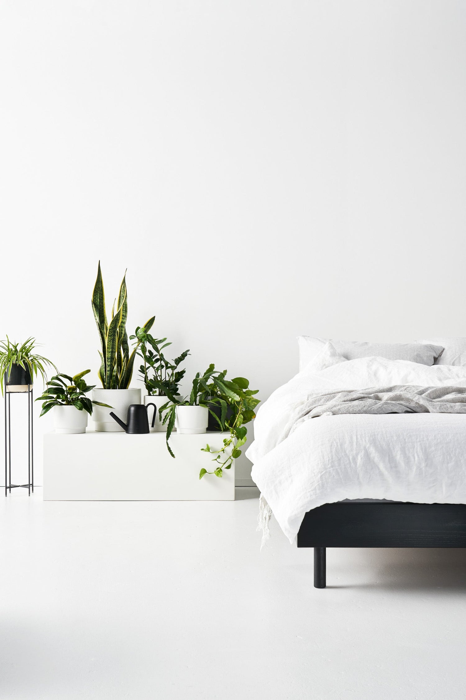 Feeling overwhelmed by home design?