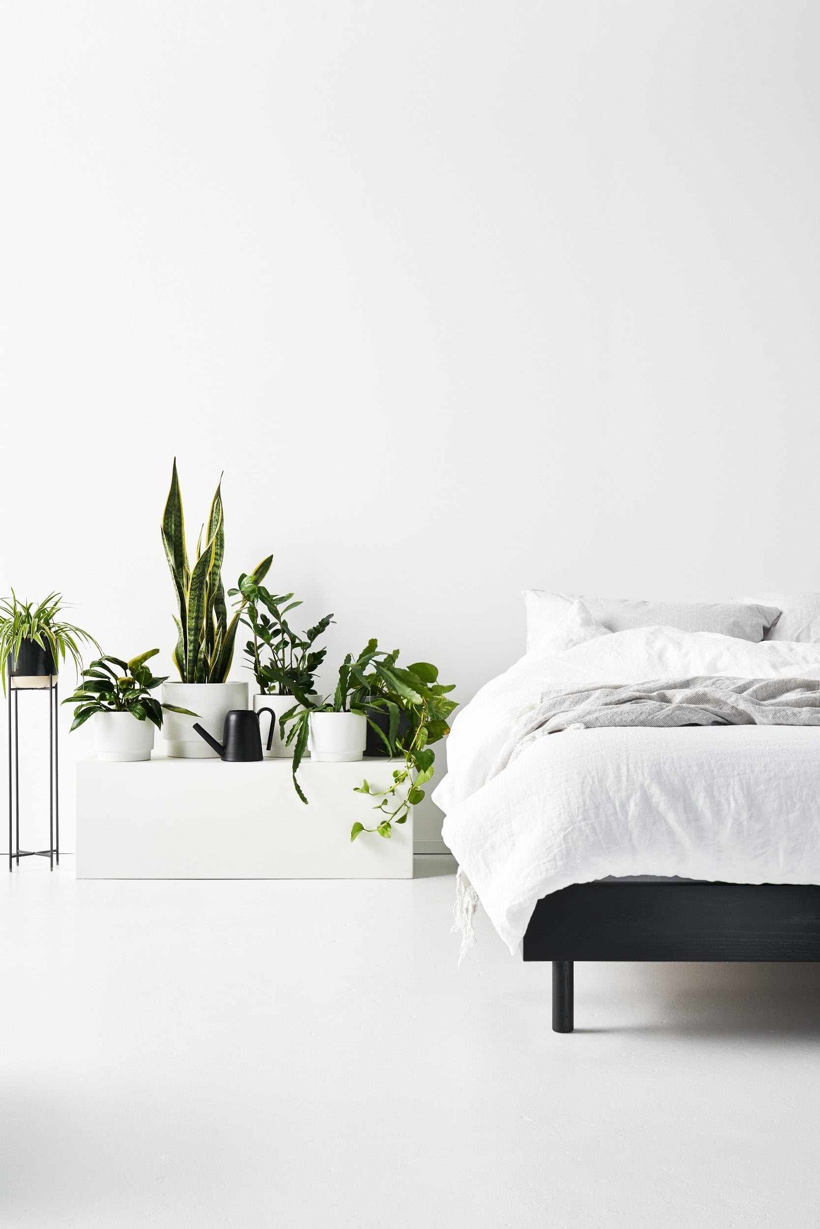 Get your home ready for Spring