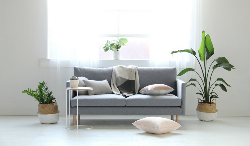 Welcome to MuBu Home!