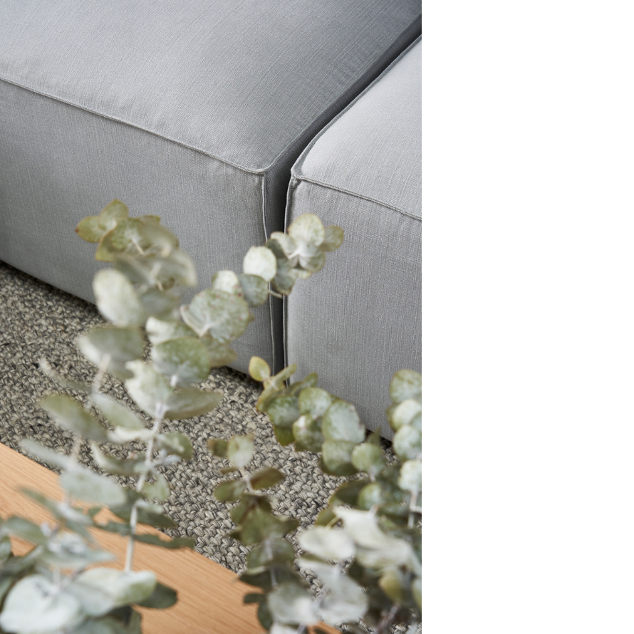 The 12 Best Plants for the Bedroom