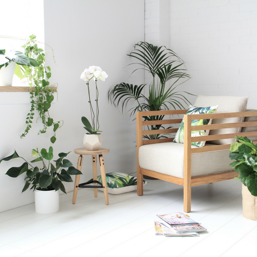A Touch of Green - How to Add Houseplants The Scando Way