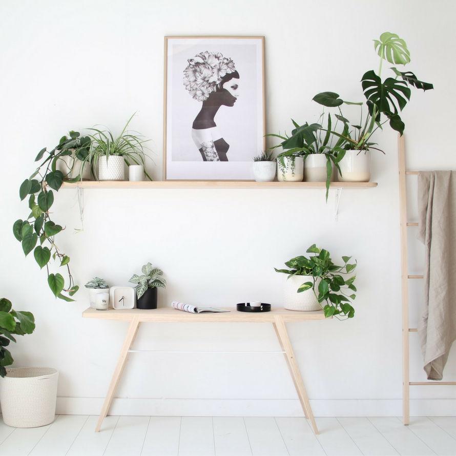 Artwork & Prints